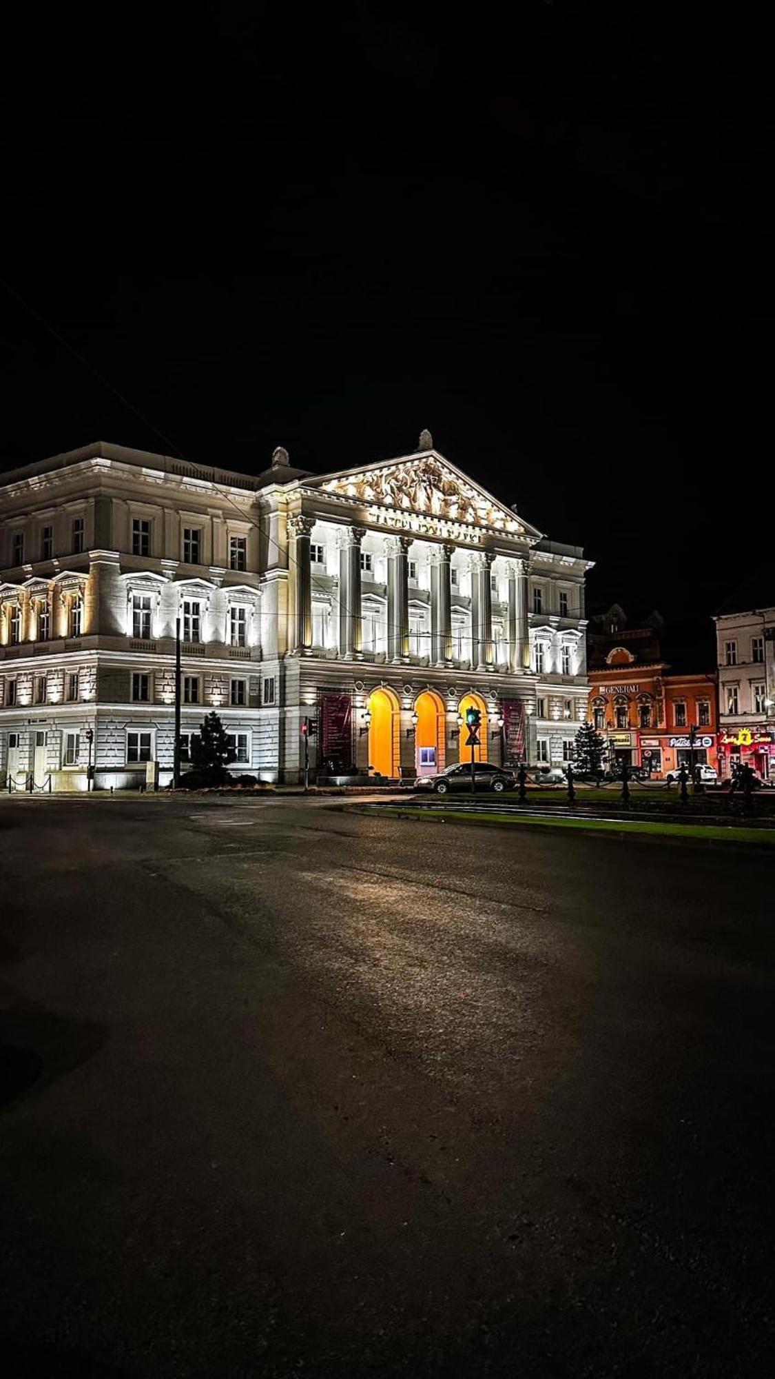 Central - Cozy Studio Arad Esterno foto